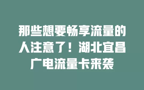 那些想要畅享流量的人注意了！湖北宜昌广电流量卡来袭