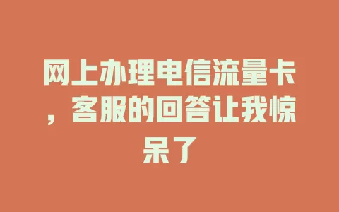 网上办理电信流量卡，客服的回答让我惊呆了