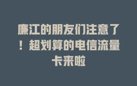廉江的朋友们注意了！超划算的电信流量卡来啦