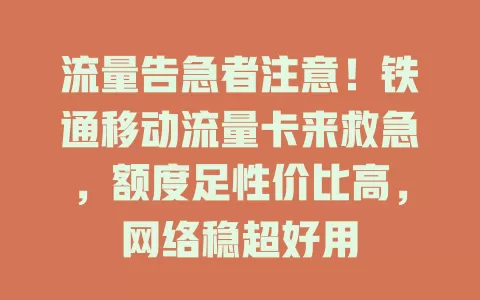 流量告急者注意！铁通移动流量卡来救急，额度足性价比高，网络稳超好用