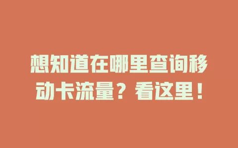 想知道在哪里查询移动卡流量？看这里！