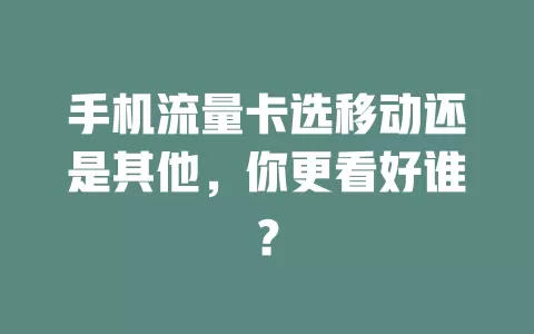 手机流量卡选移动还是其他，你更看好谁？