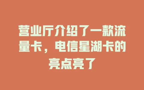营业厅介绍了一款流量卡，电信星湖卡的亮点亮了