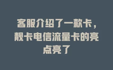客服介绍了一款卡，靓卡电信流量卡的亮点亮了