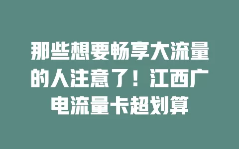 那些想要畅享大流量的人注意了！江西广电流量卡超划算