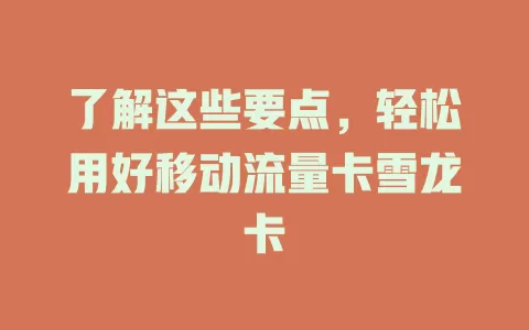 了解这些要点，轻松用好移动流量卡雪龙卡