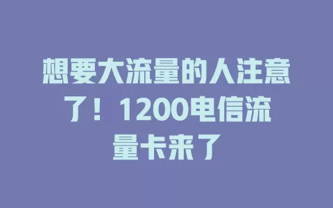 想要大流量的人注意了！1200电信流量卡来了
