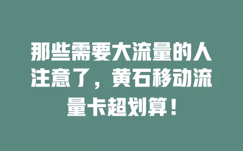 那些需要大流量的人注意了，黄石移动流量卡超划算！