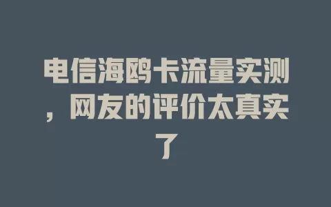 电信海鸥卡流量实测，网友的评价太真实了