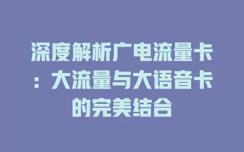 深度解析广电流量卡：大流量与大语音卡的完美结合