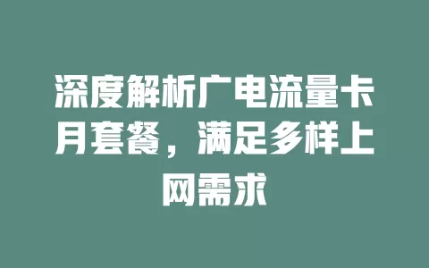 深度解析广电流量卡月套餐，满足多样上网需求