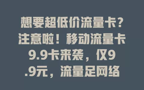 想要超低价流量卡？注意啦！移动流量卡9.9卡来袭，仅9.9元，流量足网络稳，办公追剧无忧，手续简便，别愁流量费，快抓住机会！