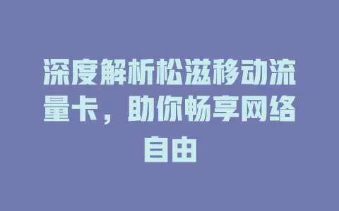 深度解析松滋移动流量卡，助你畅享网络自由