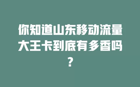 你知道山东移动流量大王卡到底有多香吗？