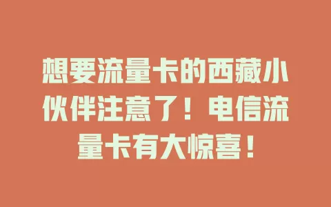 想要流量卡的西藏小伙伴注意了！电信流量卡有大惊喜！