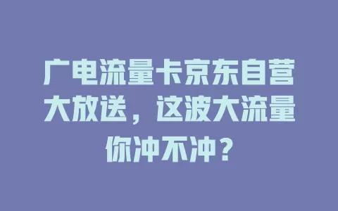 广电流量卡京东自营大放送，这波大流量你冲不冲？