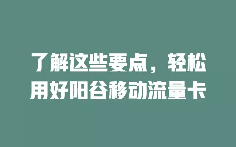 了解这些要点，轻松用好阳谷移动流量卡