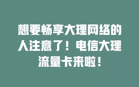 想要畅享大理网络的人注意了！电信大理流量卡来啦！