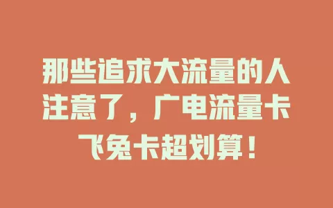 那些追求大流量的人注意了，广电流量卡飞兔卡超划算！