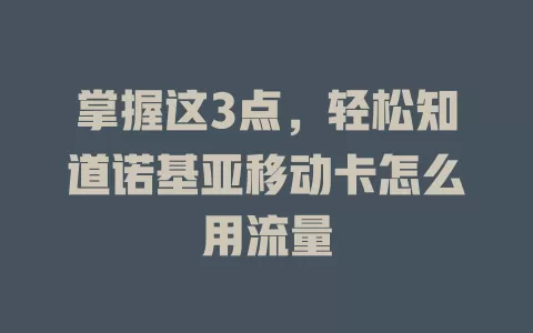 掌握这3点，轻松知道诺基亚移动卡怎么用流量