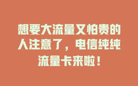 想要大流量又怕贵的人注意了，电信纯纯流量卡来啦！
