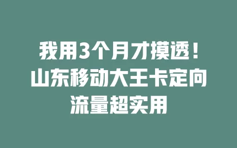 我用3个月才摸透！山东移动大王卡定向流量超实用