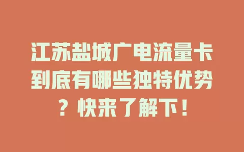 江苏盐城广电流量卡到底有哪些独特优势？快来了解下！