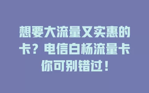 想要大流量又实惠的卡？电信白杨流量卡你可别错过！