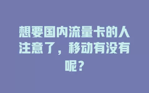 想要国内流量卡的人注意了，移动有没有呢？