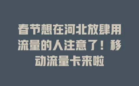 春节想在河北放肆用流量的人注意了！移动流量卡来啦