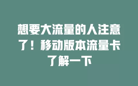 想要大流量的人注意了！移动版本流量卡了解一下