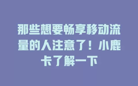 那些想要畅享移动流量的人注意了！小鹿卡了解一下