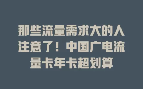 那些流量需求大的人注意了！中国广电流量卡年卡超划算