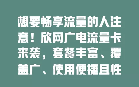 想要畅享流量的人注意！欣网广电流量卡来袭，套餐丰富、覆盖广、使用便捷且性价比高