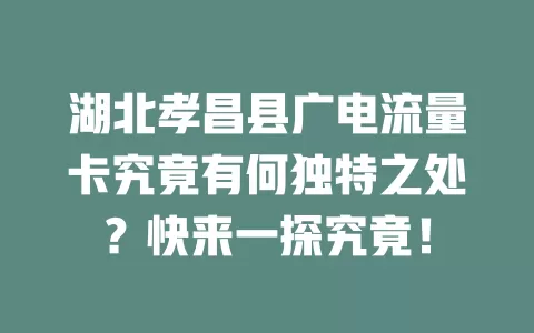 湖北孝昌县广电流量卡究竟有何独特之处？快来一探究竟！