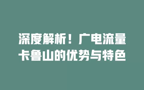深度解析！广电流量卡鲁山的优势与特色
