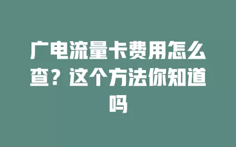 广电流量卡费用怎么查？这个方法你知道吗