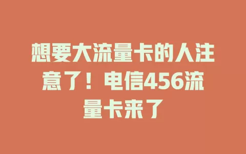 想要大流量卡的人注意了！电信456流量卡来了