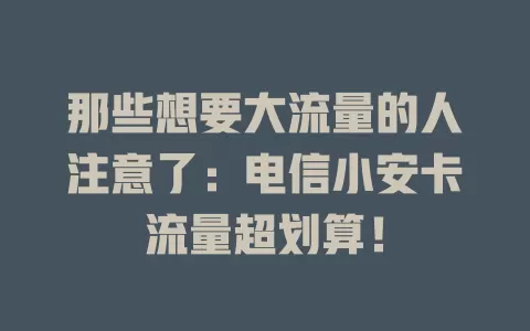 那些想要大流量的人注意了：电信小安卡流量超划算！