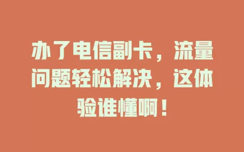 办了电信副卡，流量问题轻松解决，这体验谁懂啊！