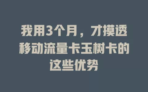 我用3个月，才摸透移动流量卡玉树卡的这些优势