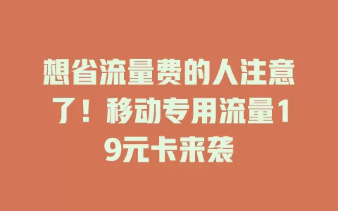 想省流量费的人注意了！移动专用流量19元卡来袭