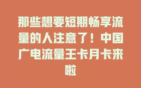 那些想要短期畅享流量的人注意了！中国广电流量王卡月卡来啦