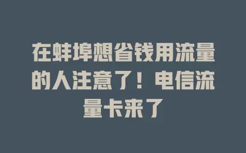 在蚌埠想省钱用流量的人注意了！电信流量卡来了