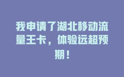 我申请了湖北移动流量王卡，体验远超预期！