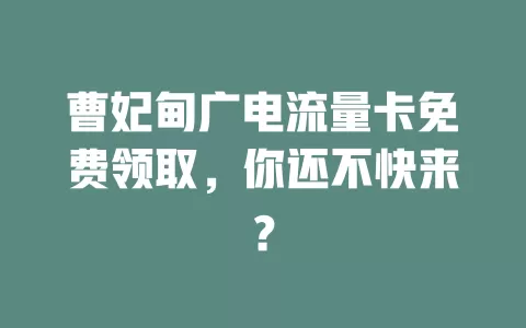 曹妃甸广电流量卡免费领取，你还不快来？