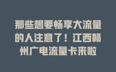 那些想要畅享大流量的人注意了！江西赣州广电流量卡来啦