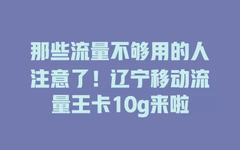 那些流量不够用的人注意了！辽宁移动流量王卡10g来啦