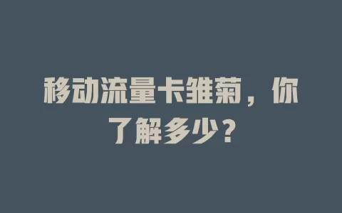 移动流量卡雏菊，你了解多少？