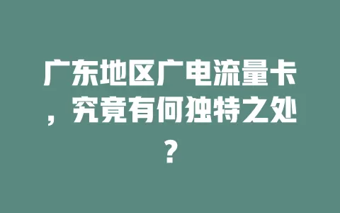 广东地区广电流量卡，究竟有何独特之处？